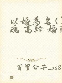 以婚为名 (军魂 高干 婚恋)