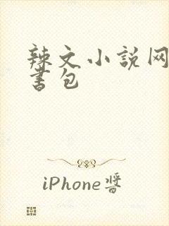 辣文小说网第二书包