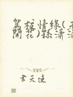 驾校情缘(老树开花)孙潇潇笔趣阁