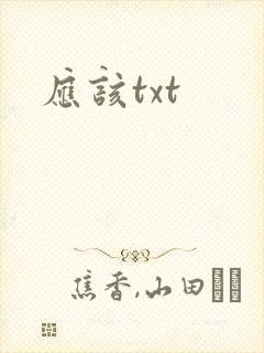 应该txt
