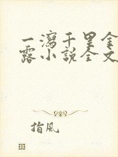 一泻千里金银花露小说全文免费阅读