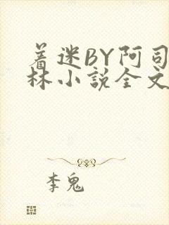 着迷BY阿司匹林小说全文免费阅读