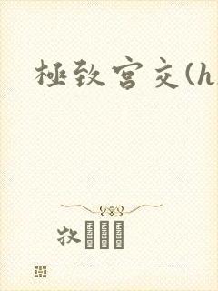 极致宫交(h)