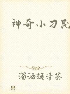 神奇小刁民