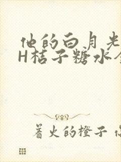 他的白月光HVH桔子糖水全文