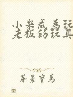 小米成为玩具店老板的玩具