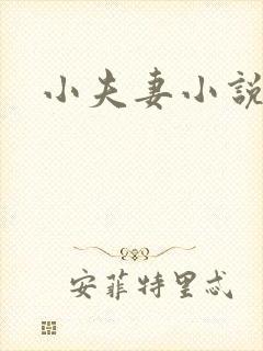 小夫妻小说
