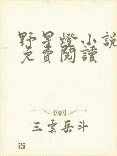 野星灯小说全文免费阅读