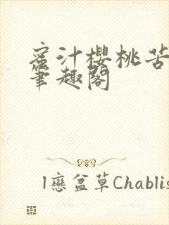 蜜汁樱桃苦咖啡笔趣阁