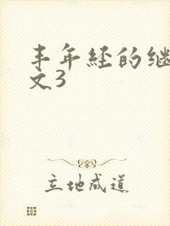 丰年经的继拇中文3