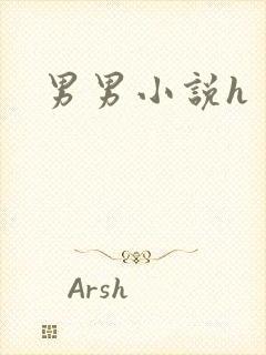男男小说h