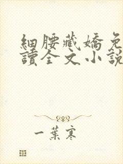 细腰藏娇免费阅读全文小说苏珞浅