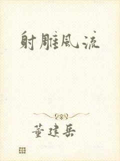 射雕风流