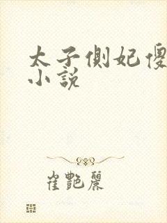 太子侧妃傻乎乎小说