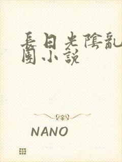 长日光阴乱作一团小说