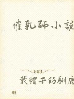 催乳师小说