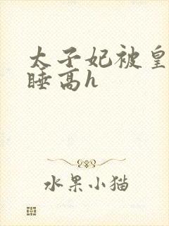 太子妃被皇上强睡高h