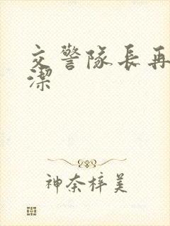 交警队长再遇白洁