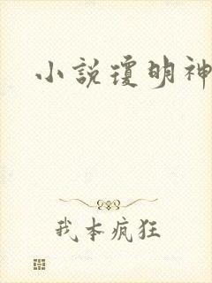 小说琼明神女录