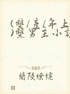 (双/产/年上)双男主小说