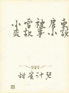 小雪被房东的好爽故事小说