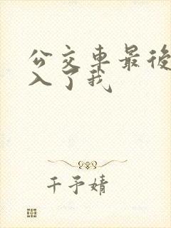 公交车最后一排入了我