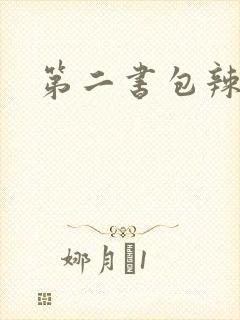 第二书包辣文