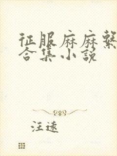 征服麻麻系列大合集小说