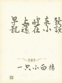 早上醒来发现巨龙还在小说