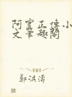 阿宾正传小说全文笔趣阁