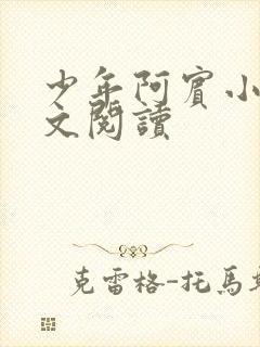 少年阿宾小说全文阅读