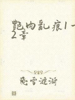 艳肉乱痕1一12章