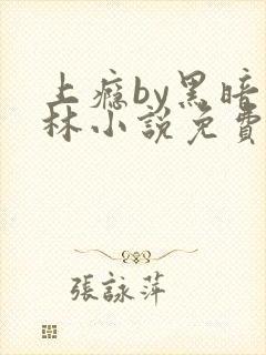 上瘾by黑暗森林小说免费