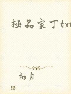 极品家丁txt