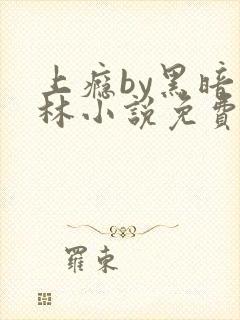 上瘾by黑暗森林小说免费