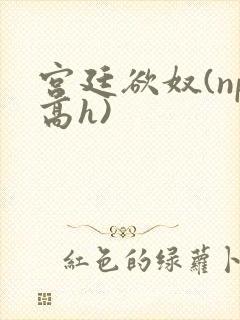 宫廷欲奴(np高h)