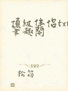 顶级伴侣txt笔趣阁