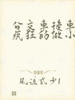 公交车后车座的疯狂的做小