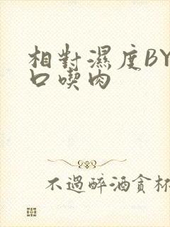 相对湿度BY大口吃肉