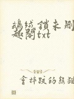 鹅绒锁未删除笔趣阁txt