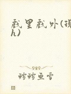 戏里戏外(现场h)