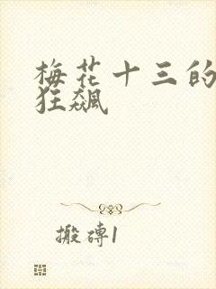 梅花十三的乳液狂飙