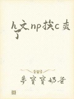 h文np挨c爽了