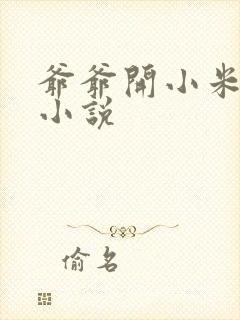 爷爷开小米的包小说