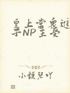 皇上当众进入太子NP主受