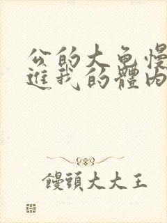 公的大龟慢慢挺进我的体内