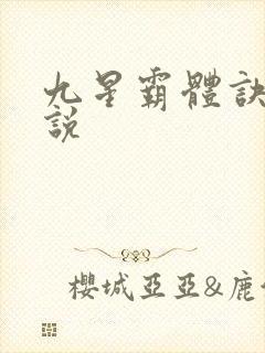 九星霸体诀 小说