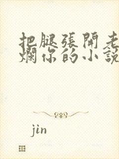 把腿张开老子臊烂你的小说