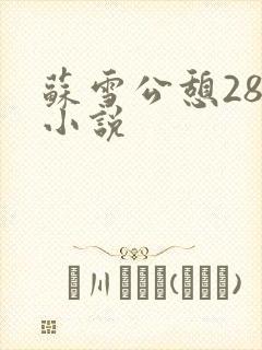 苏雪公憩28篇小说