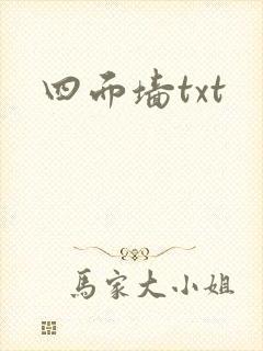 四面墙txt